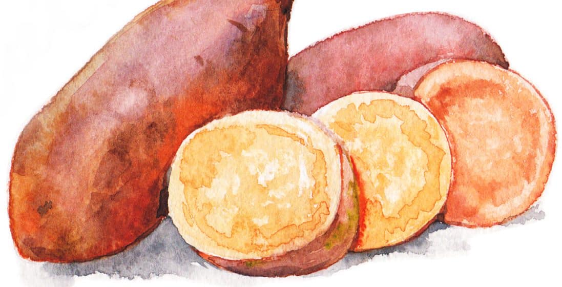 sweetpotato